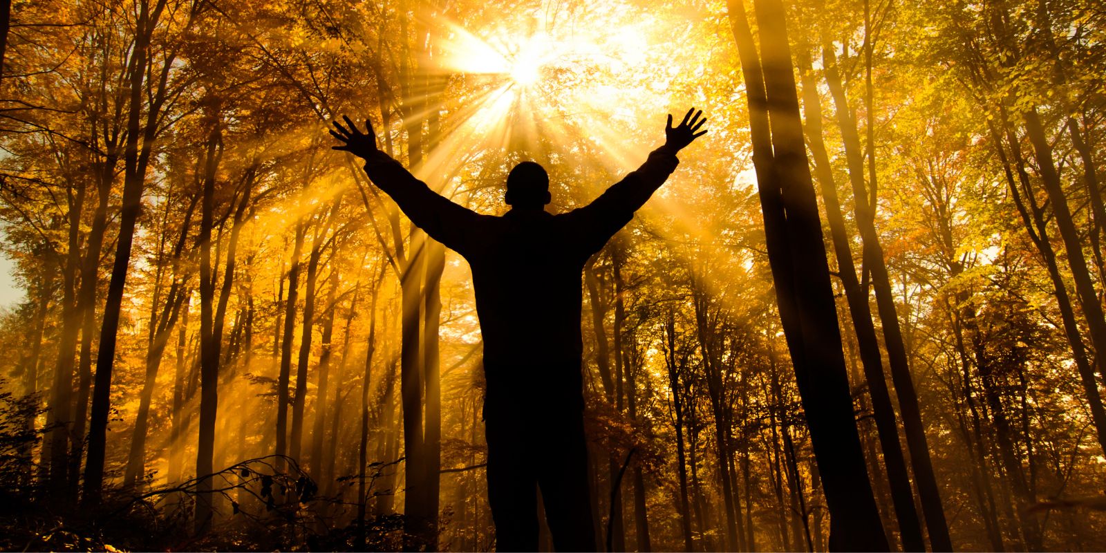 personas sensitivas espiritualmente